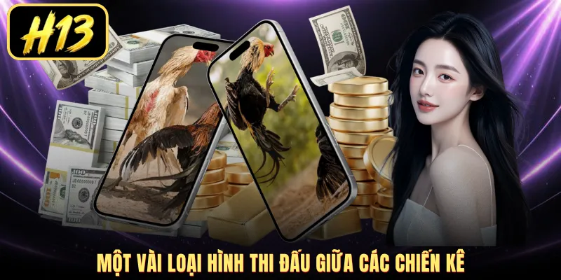 Một vài loại hình thi đấu giữa các chiến kê