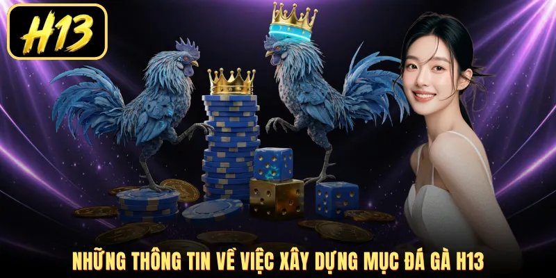 Những thông tin về việc xây dựng mục đá gà H13